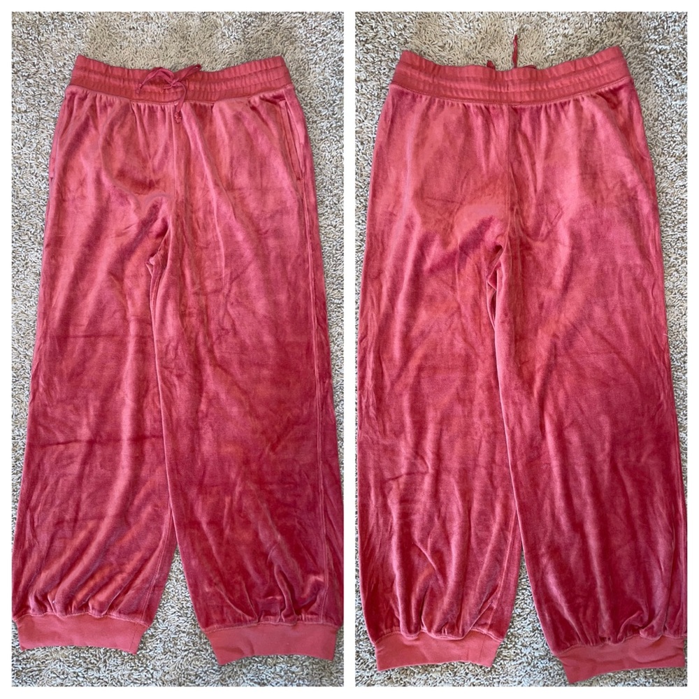 J Crew Relaxed Velour Jogger Lounge Pant Size Medium